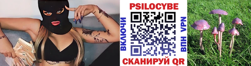 Купить закладки  Тырныауз  Галлюциногенные грибы Psilocybine cubensis 